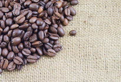 freeimage-8247882-web-coffee beans edge on hessian cropped x411