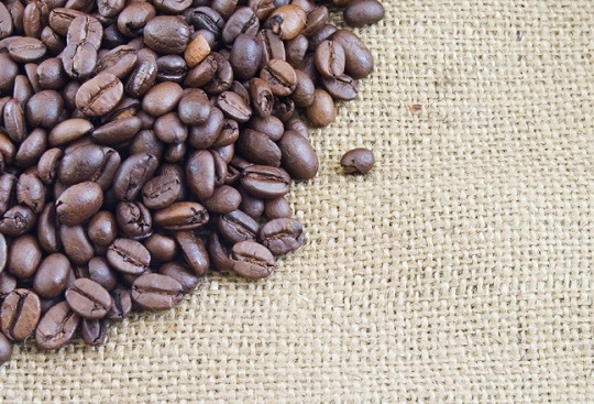 freeimage-8247882-web-coffee beans edge on hessian cropped